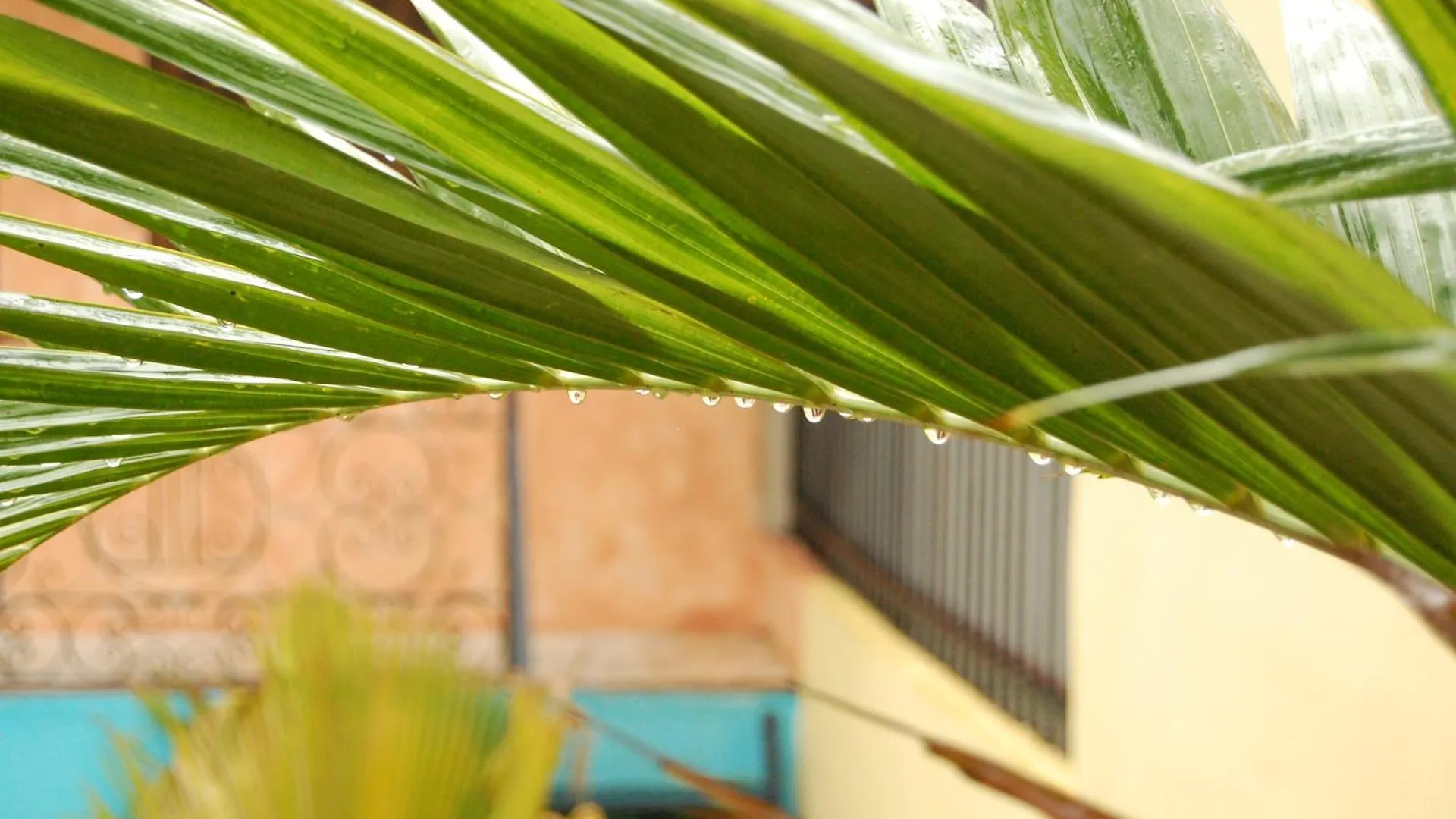 Casa de hóspedes La Choza Guesthouse Santo Domingo